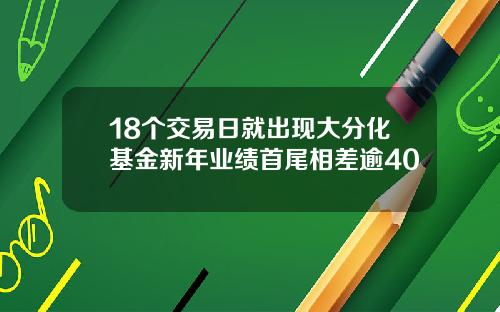 18个交易日就出现大分化基金新年业绩首尾相差逾40