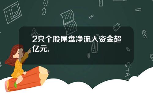 2只个股尾盘净流入资金超亿元.