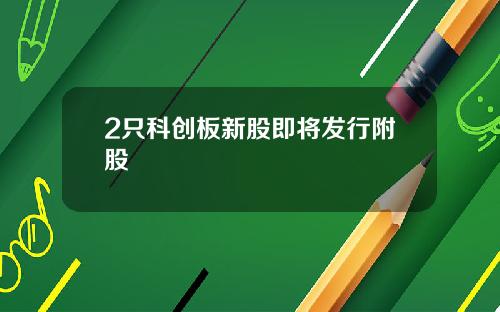 2只科创板新股即将发行附股