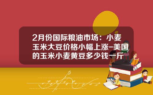 2月份国际粮油市场：小麦玉米大豆价格小幅上涨-美国的玉米小麦黄豆多少钱一斤