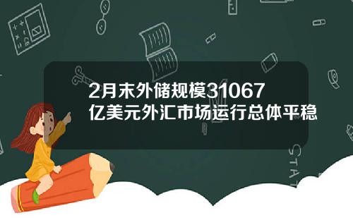 2月末外储规模31067亿美元外汇市场运行总体平稳