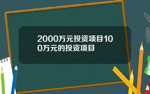 2000万元投资项目100万元的投资项目