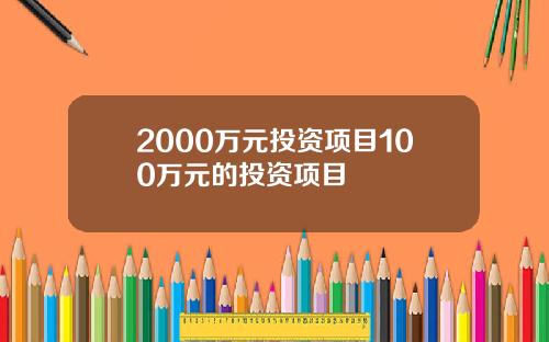 2000万元投资项目100万元的投资项目