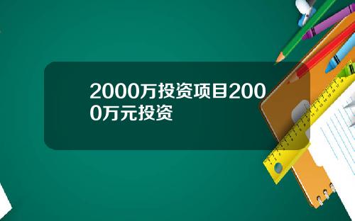 2000万投资项目2000万元投资