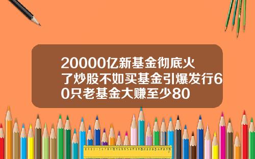 20000亿新基金彻底火了炒股不如买基金引爆发行60只老基金大赚至少80