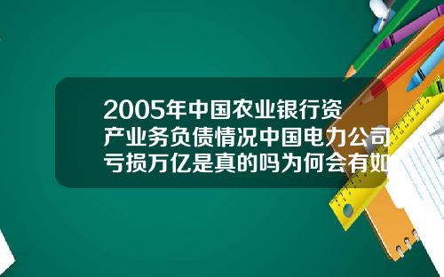 2005年中国农业银行资产业务负债情况中国电力公司亏损万亿是真的吗为何会有如此多的负债