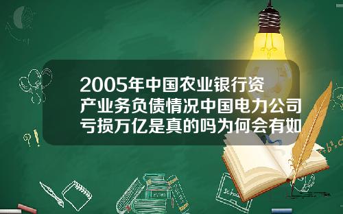 2005年中国农业银行资产业务负债情况中国电力公司亏损万亿是真的吗为何会有如此多的负债