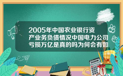 2005年中国农业银行资产业务负债情况中国电力公司亏损万亿是真的吗为何会有如此多的负债