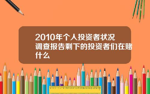 2010年个人投资者状况调查报告剩下的投资者们在赌什么