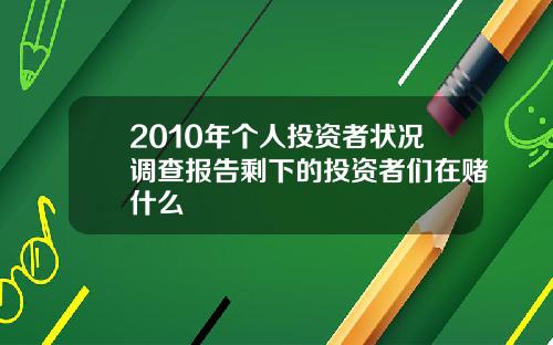 2010年个人投资者状况调查报告剩下的投资者们在赌什么