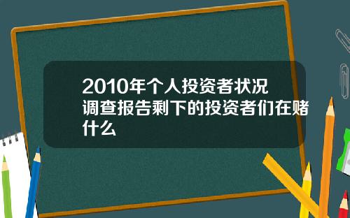 2010年个人投资者状况调查报告剩下的投资者们在赌什么