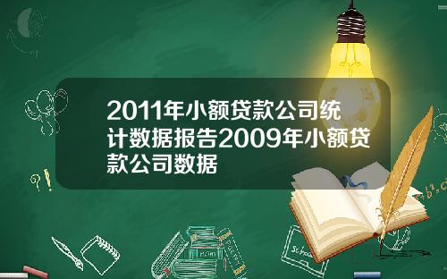 2011年小额贷款公司统计数据报告2009年小额贷款公司数据