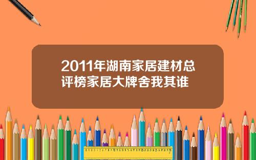 2011年湖南家居建材总评榜家居大牌舍我其谁