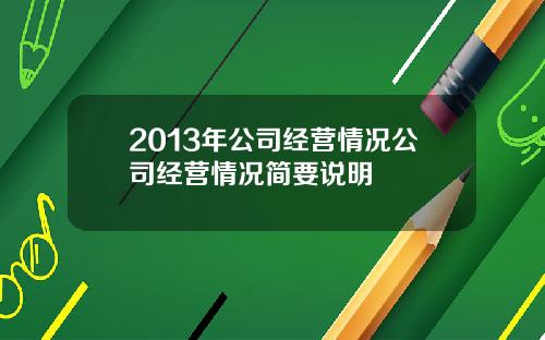 2013年公司经营情况公司经营情况简要说明