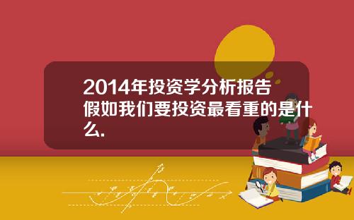2014年投资学分析报告假如我们要投资最看重的是什么.