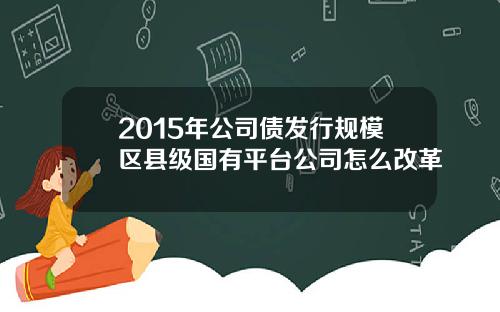 2015年公司债发行规模区县级国有平台公司怎么改革