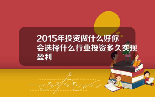 2015年投资做什么好你会选择什么行业投资多久实现盈利