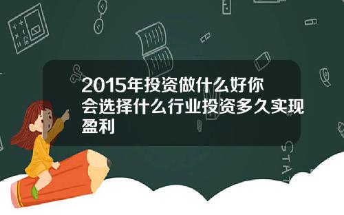 2015年投资做什么好你会选择什么行业投资多久实现盈利