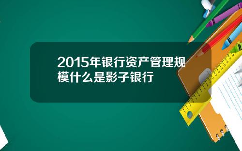 2015年银行资产管理规模什么是影子银行