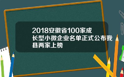 2018安徽省100家成长型小微企业名单正式公布我县两家上榜