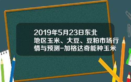 2019年5月23日东北地区玉米、大豆、豆粕市场行情与预测-加格达奇能种玉米么收多少斤