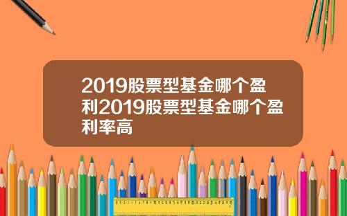 2019股票型基金哪个盈利2019股票型基金哪个盈利率高
