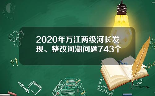 2020年万江两级河长发现、整改河湖问题743个