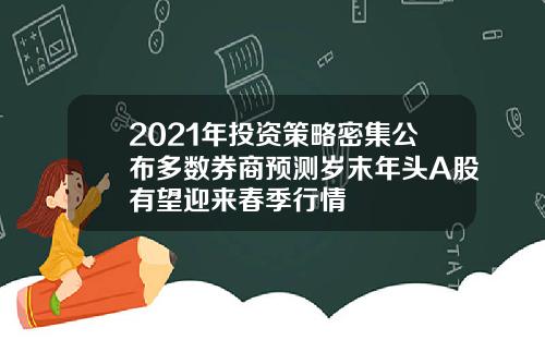 2021年投资策略密集公布多数券商预测岁末年头A股有望迎来春季行情