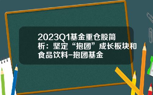 2023Q1基金重仓股简析：坚定“抱团”成长板块和食品饮料-抱团基金