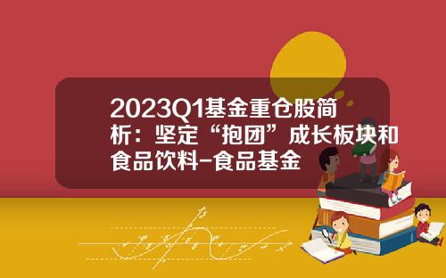 2023Q1基金重仓股简析：坚定“抱团”成长板块和食品饮料-食品基金