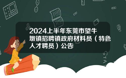 2024上半年东莞市望牛墩镇招聘镇政府材料员（特色人才聘员）公告