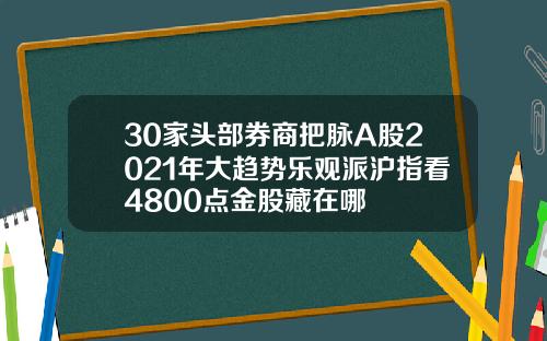 30家头部券商把脉A股2021年大趋势乐观派沪指看4800点金股藏在哪