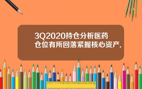 3Q2020持仓分析医药仓位有所回落紧握核心资产.