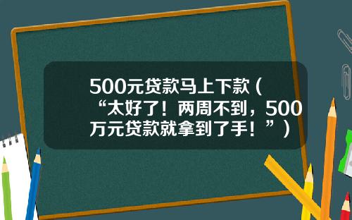 500元贷款马上下款 (“太好了！两周不到，500万元贷款就拿到了手！”)