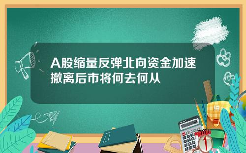 A股缩量反弹北向资金加速撤离后市将何去何从