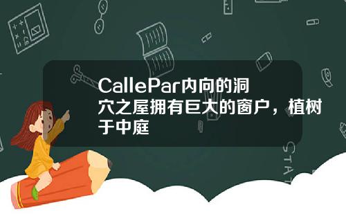 CallePar内向的洞穴之屋拥有巨大的窗户，植树于中庭