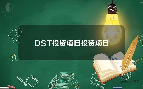 DST投资项目投资项目