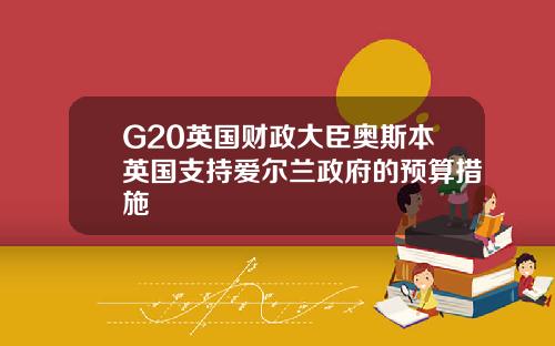 G20英国财政大臣奥斯本英国支持爱尔兰政府的预算措施