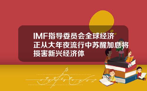 IMF指导委员会全球经济正从大年夜流行中苏醒加息将损害新兴经济体
