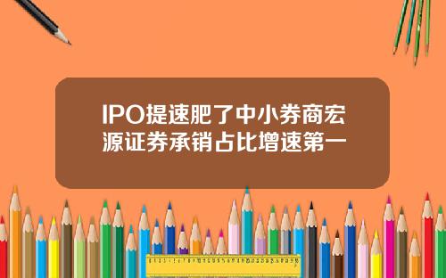 IPO提速肥了中小券商宏源证券承销占比增速第一