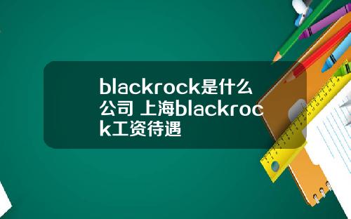blackrock是什么公司 上海blackrock工资待遇