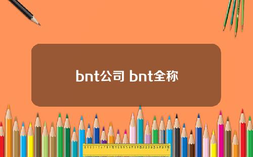 bnt公司 bnt全称