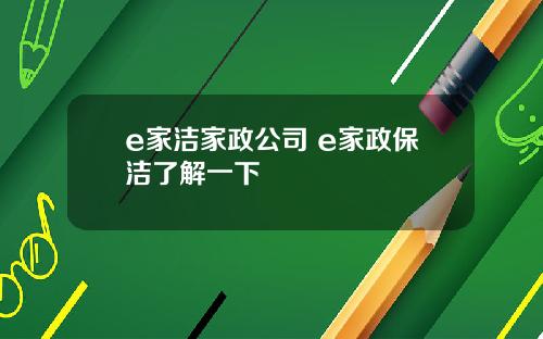 e家洁家政公司 e家政保洁了解一下