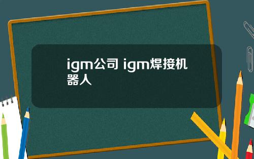 igm公司 igm焊接机器人