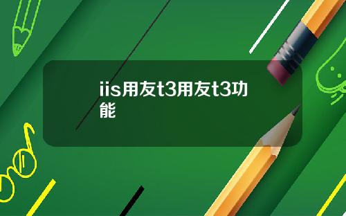 iis用友t3用友t3功能