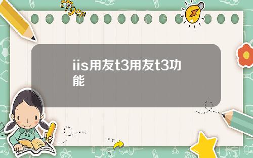 iis用友t3用友t3功能