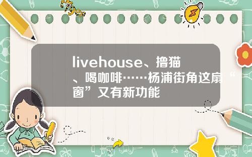 livehouse、撸猫、喝咖啡……杨浦街角这扇“窗”又有新功能