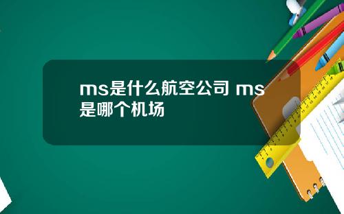 ms是什么航空公司 ms是哪个机场