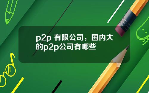 p2p 有限公司，国内大的p2p公司有哪些