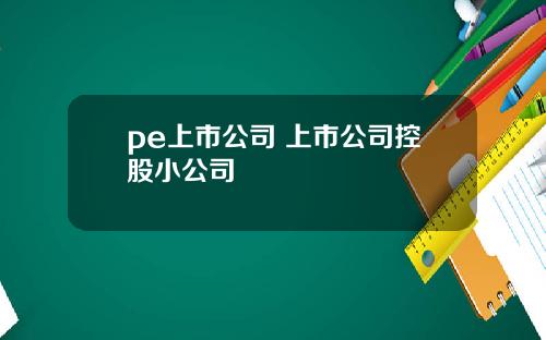 pe上市公司 上市公司控股小公司